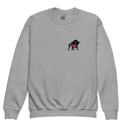 Classic | Youth Sweatshirt | OUE | Mascot Logo