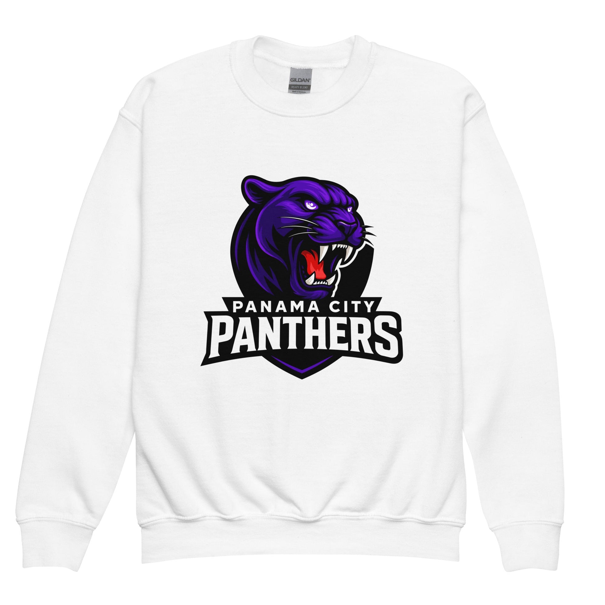 Classic | Youth Sweatshirt | Panama City Panthers | Mascot Logo