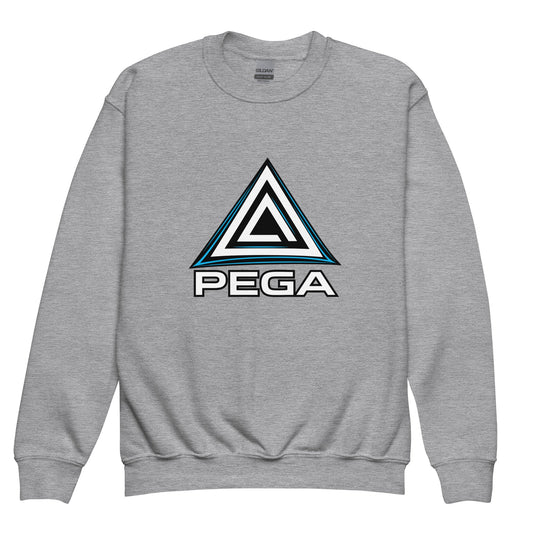Classic | Youth Sweatshirt | PEGA | Icon Logo