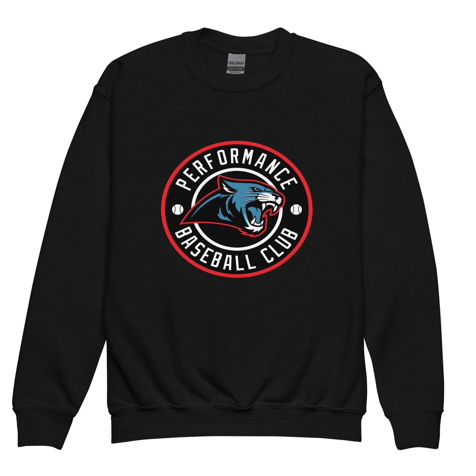 Classic | Youth Sweatshirt | Performance Baseball Club