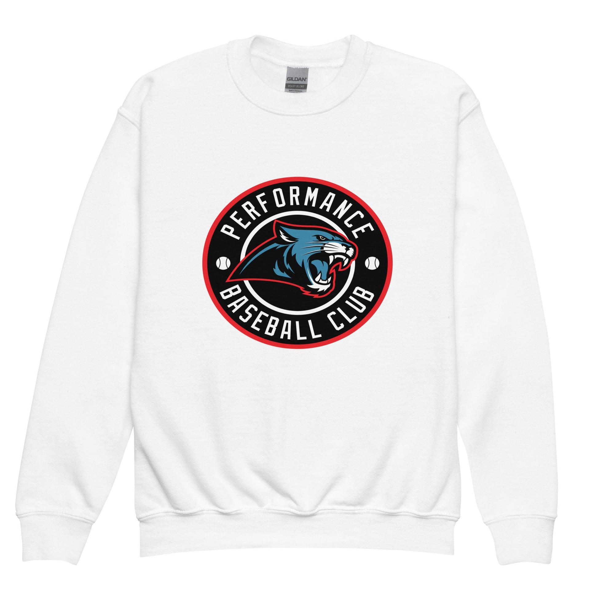 Classic | Youth Sweatshirt | Performance Baseball Club