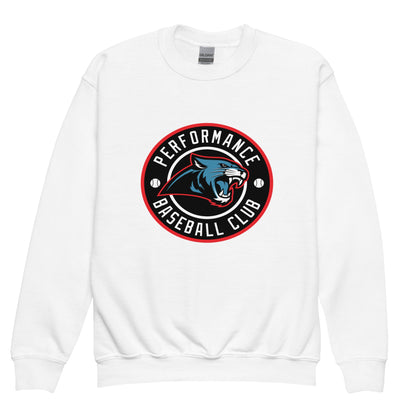 Classic | Youth Sweatshirt | Performance Baseball Club
