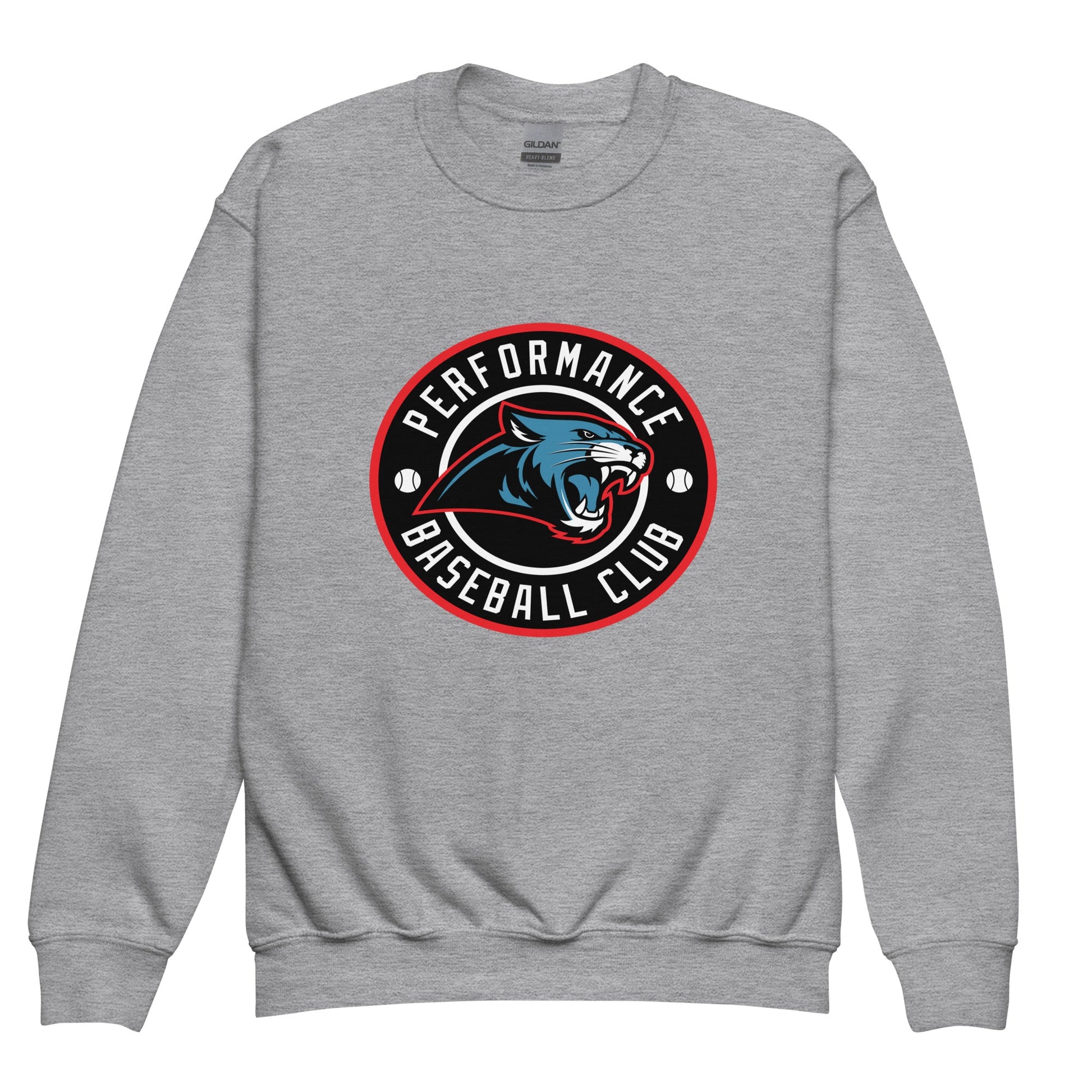 Classic | Youth Sweatshirt | Performance Baseball Club