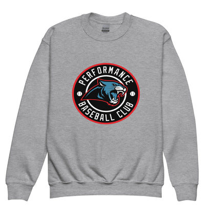 Classic | Youth Sweatshirt | Performance Baseball Club