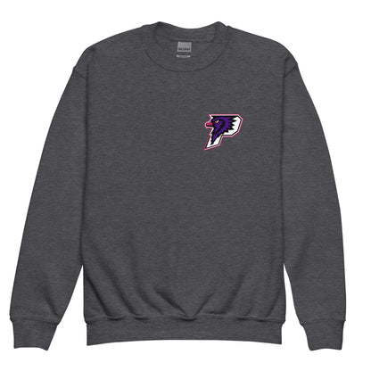 Classic | Youth Sweatshirt | Phoenix Fastpitch | Apex P-Hawks Logo