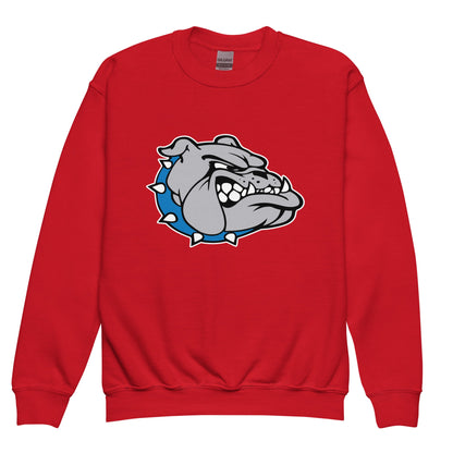 Classic | Youth Sweatshirt | Pretty Prairie Bulldog Football
