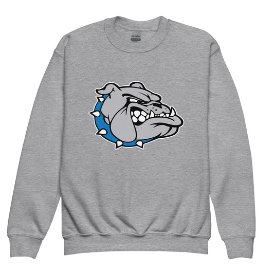 Classic | Youth Sweatshirt | Pretty Prairie Bulldog Football