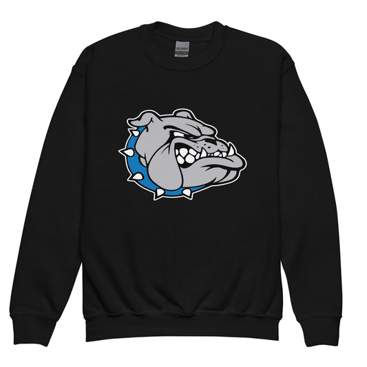 Classic | Youth Sweatshirt | Pretty Prairie Bulldog Football