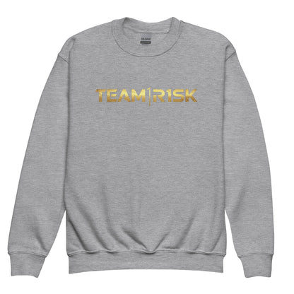 Classic | Youth Sweatshirt | R1SK.gg | Script Logo