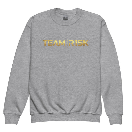 Classic | Youth Sweatshirt | R1SK.gg | Script Logo