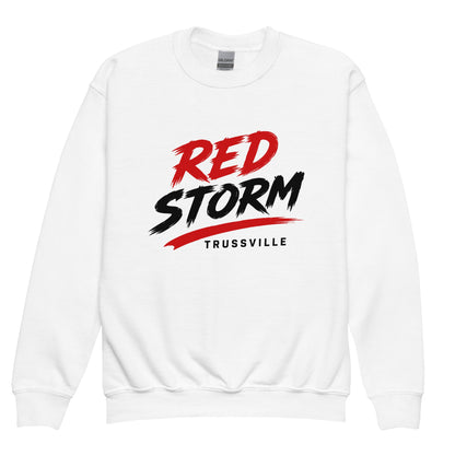 Classic | Youth Sweatshirt | Red Storm | Modern Script Logo