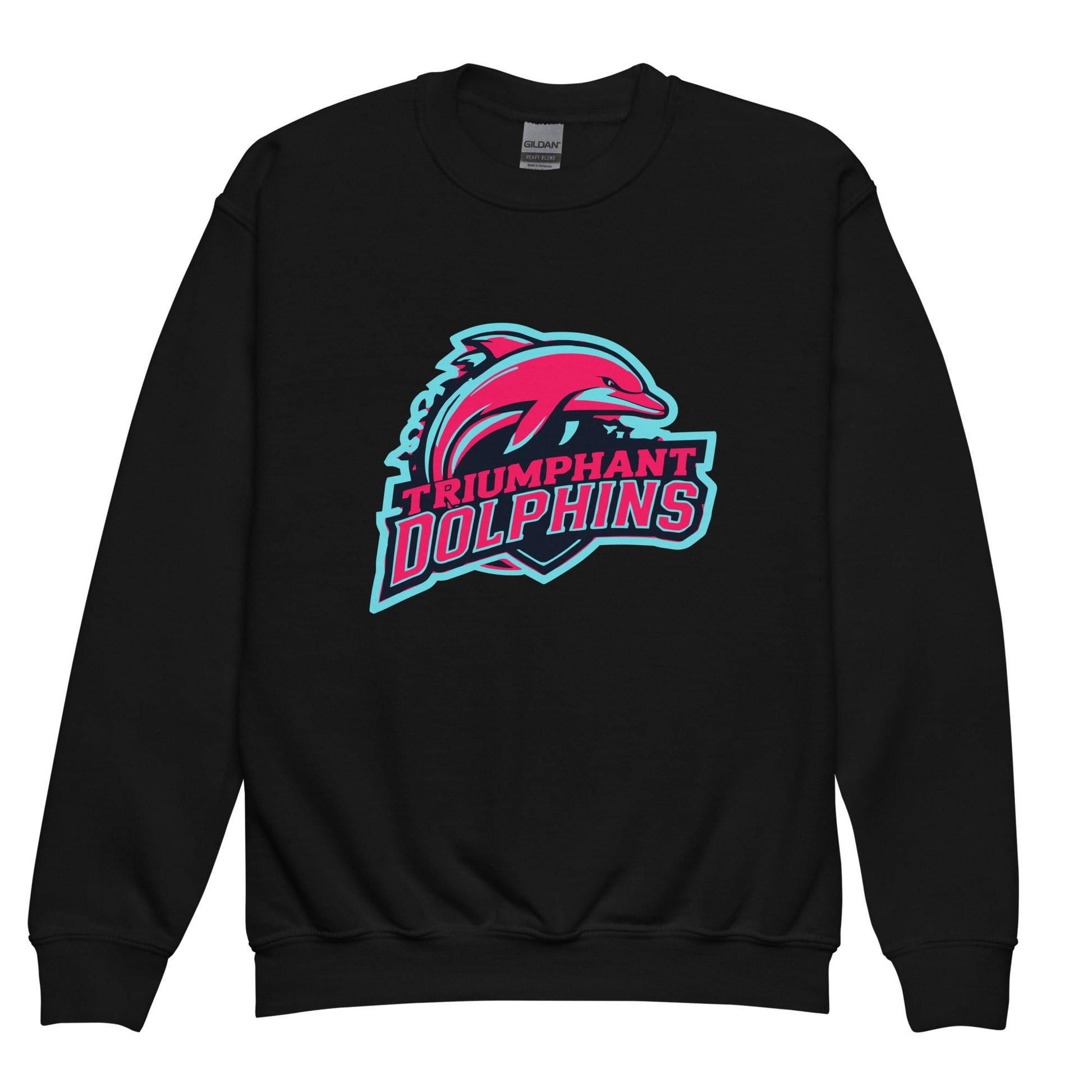 Classic | Youth Sweatshirt | SE Triumphant Dolphins | Dolphins Alternate Logo