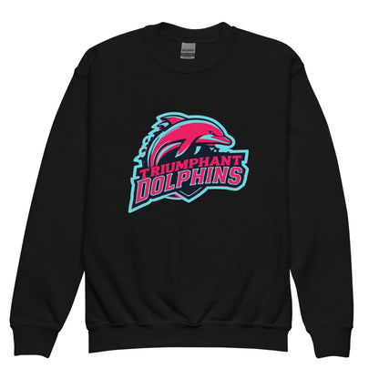 Classic | Youth Sweatshirt | SE Triumphant Dolphins | Dolphins Alternate Logo