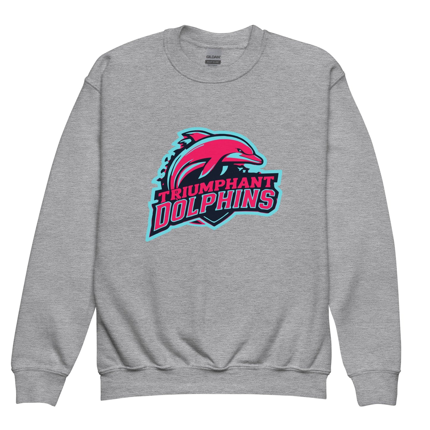 Classic | Youth Sweatshirt | SE Triumphant Dolphins | Dolphins Alternate Logo