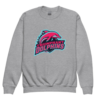 Classic | Youth Sweatshirt | SE Triumphant Dolphins | Dolphins Alternate Logo