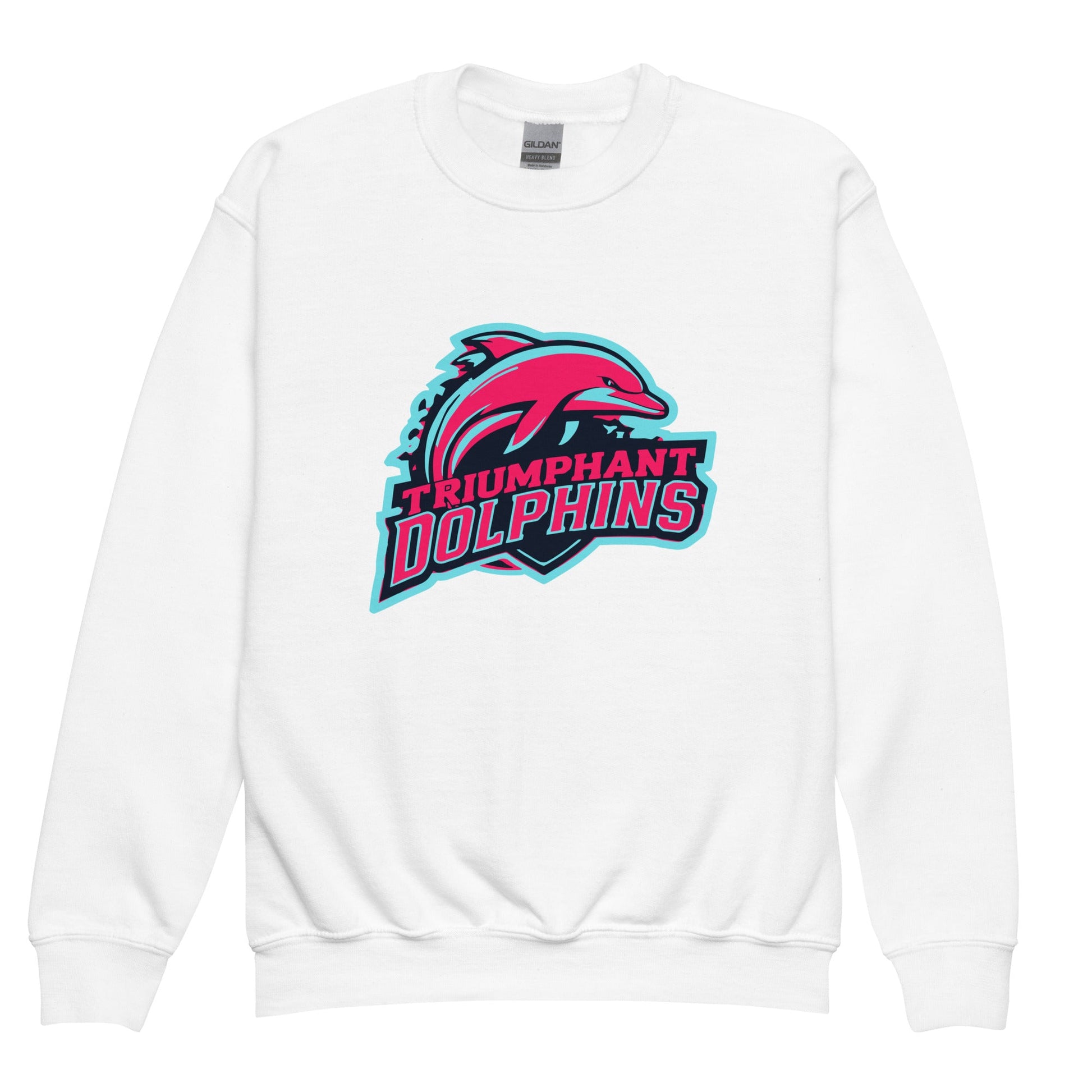 Classic | Youth Sweatshirt | SE Triumphant Dolphins | Dolphins Alternate Logo