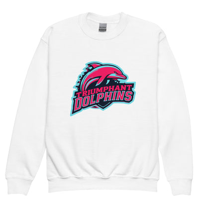 Classic | Youth Sweatshirt | SE Triumphant Dolphins | Dolphins Alternate Logo