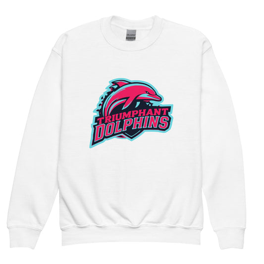 Classic | Youth Sweatshirt | SE Triumphant Dolphins | Dolphins Alternate Logo