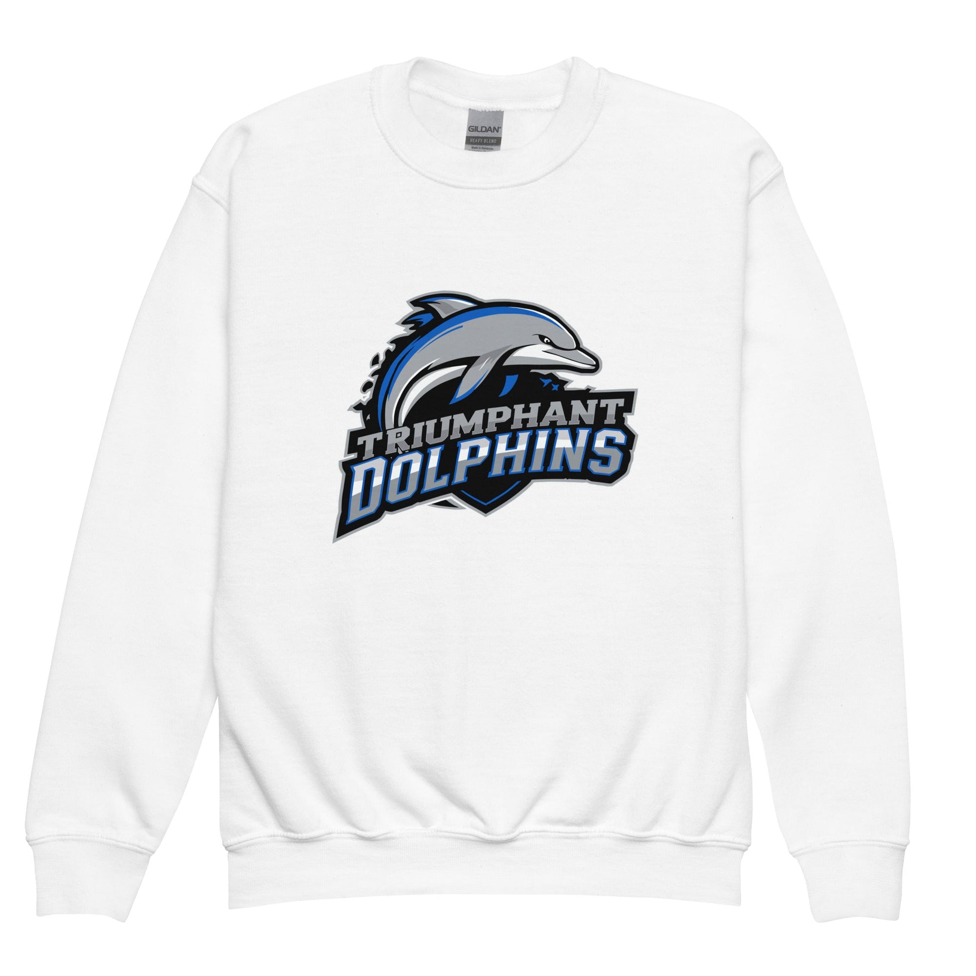 Classic | Youth Sweatshirt | SE Triumphant Dolphins | Dolphins Mascot Logo
