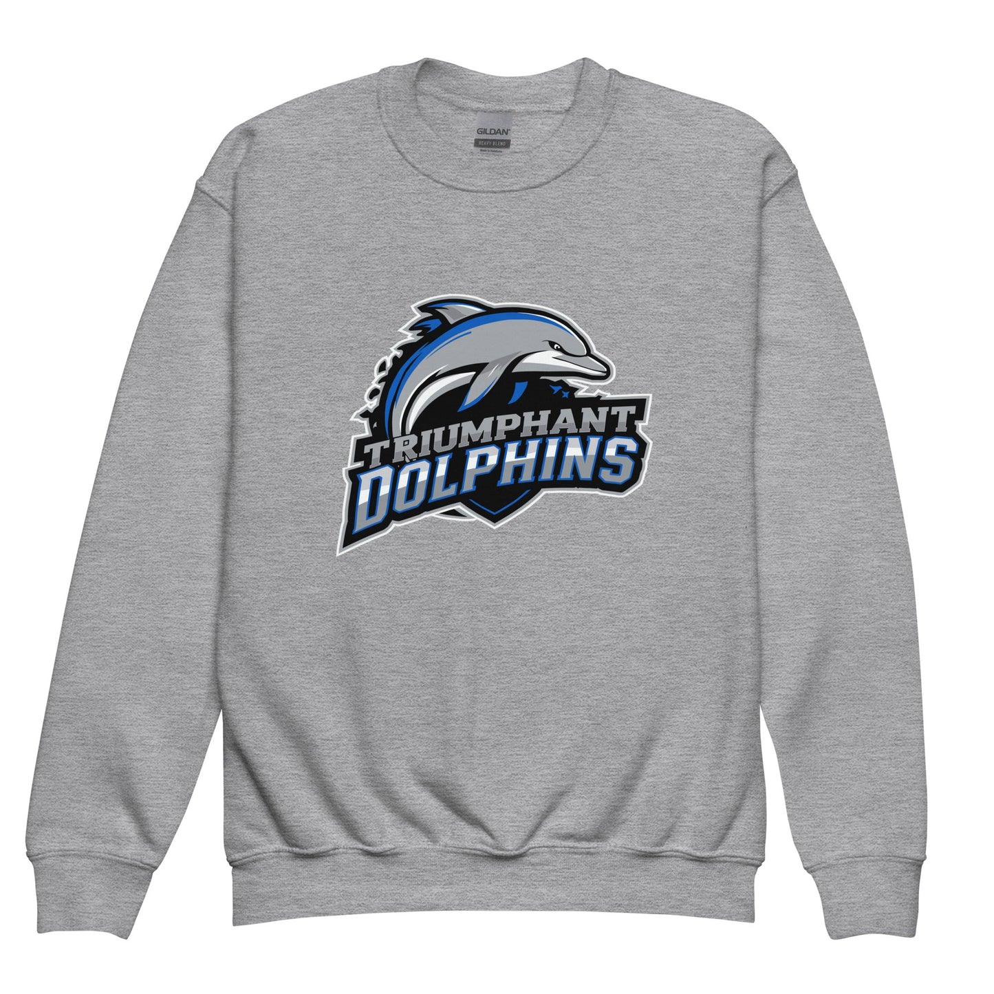 Classic | Youth Sweatshirt | SE Triumphant Dolphins | Dolphins Mascot Logo