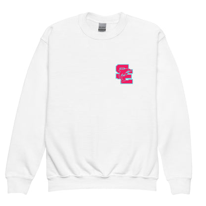 Classic | Youth Sweatshirt | SE Triumphant Dolphins | SE Alt Logo