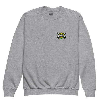 Classic | Youth Sweatshirt | Silver Valley Gemstones | Vanguard Logo