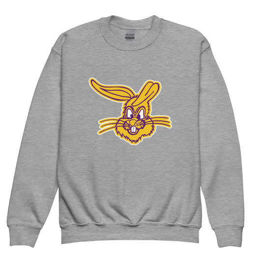 Classic | Youth Sweatshirt | Somerset Athletics | Jumpers mascot Logo
