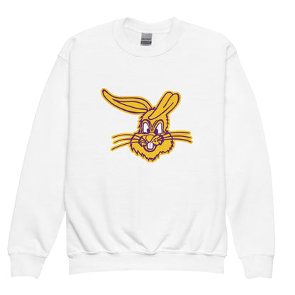 Classic | Youth Sweatshirt | Somerset Athletics | Jumpers mascot Logo