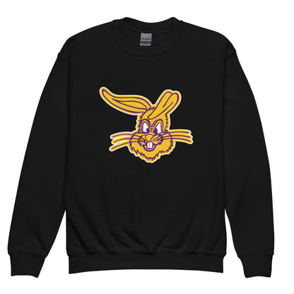 Classic | Youth Sweatshirt | Somerset Athletics | Jumpers mascot Logo