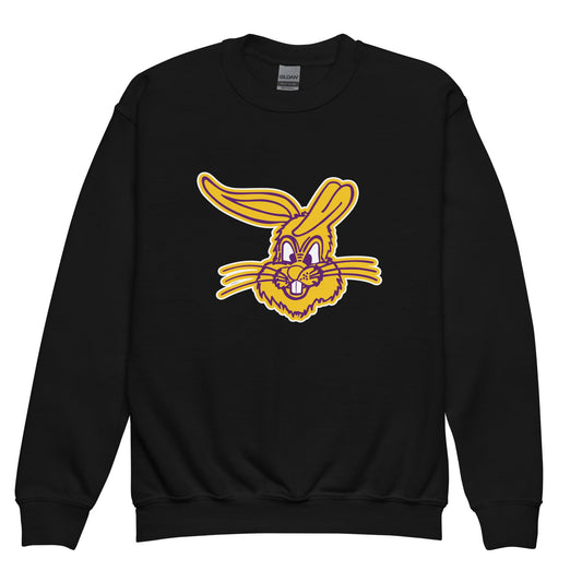 Classic | Youth Sweatshirt | Somerset Athletics | Jumpers mascot Logo