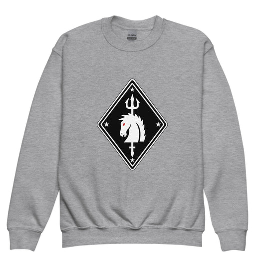 Classic | Youth Sweatshirt | TDT | Vanguard Diamond Logo