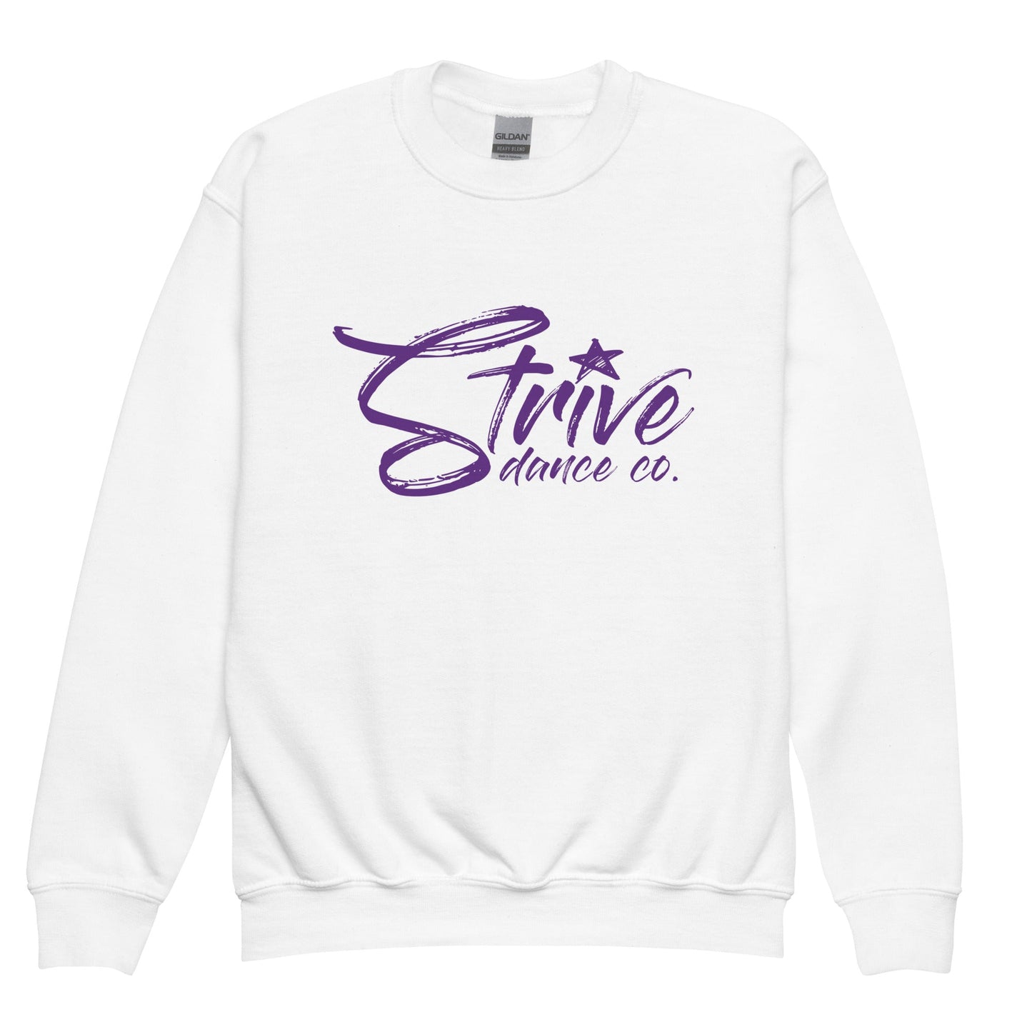 Classic | Youth Sweatshirt | The Dancer's Place | Strive Dance Company