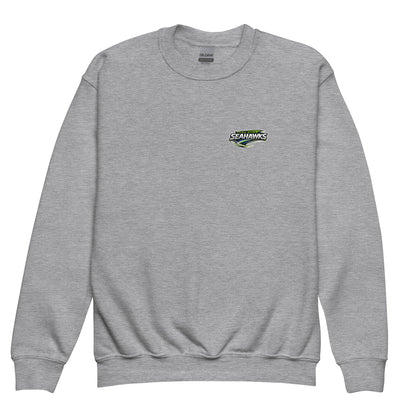 Classic | Youth Sweatshirt | Toms River Seahawks | Splash Logo
