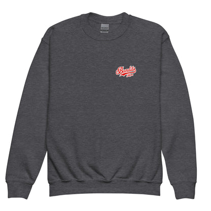 Classic | Youth Sweatshirt | Tri - City Baseball | Bandits Mpm Logo