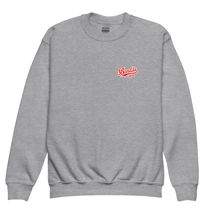 Classic | Youth Sweatshirt | Tri - City Baseball | Bandits Mpm Logo