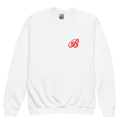 Classic | Youth Sweatshirt | Tri - City Baseball | Classic Logo