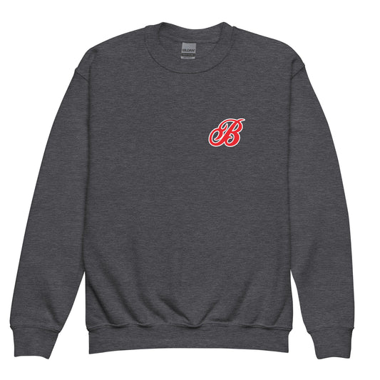 Classic | Youth Sweatshirt | Tri - City Baseball | Classic Logo