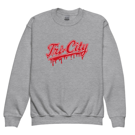 Classic | Youth Sweatshirt | Tri - City Baseball | Mark Logo