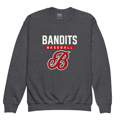 Classic | Youth Sweatshirt | Tri - City Baseball | Varsity Script Logo
