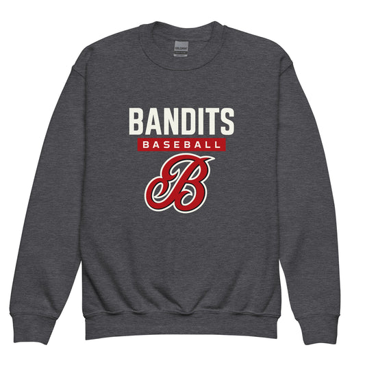 Classic | Youth Sweatshirt | Tri - City Baseball | Varsity Script Logo