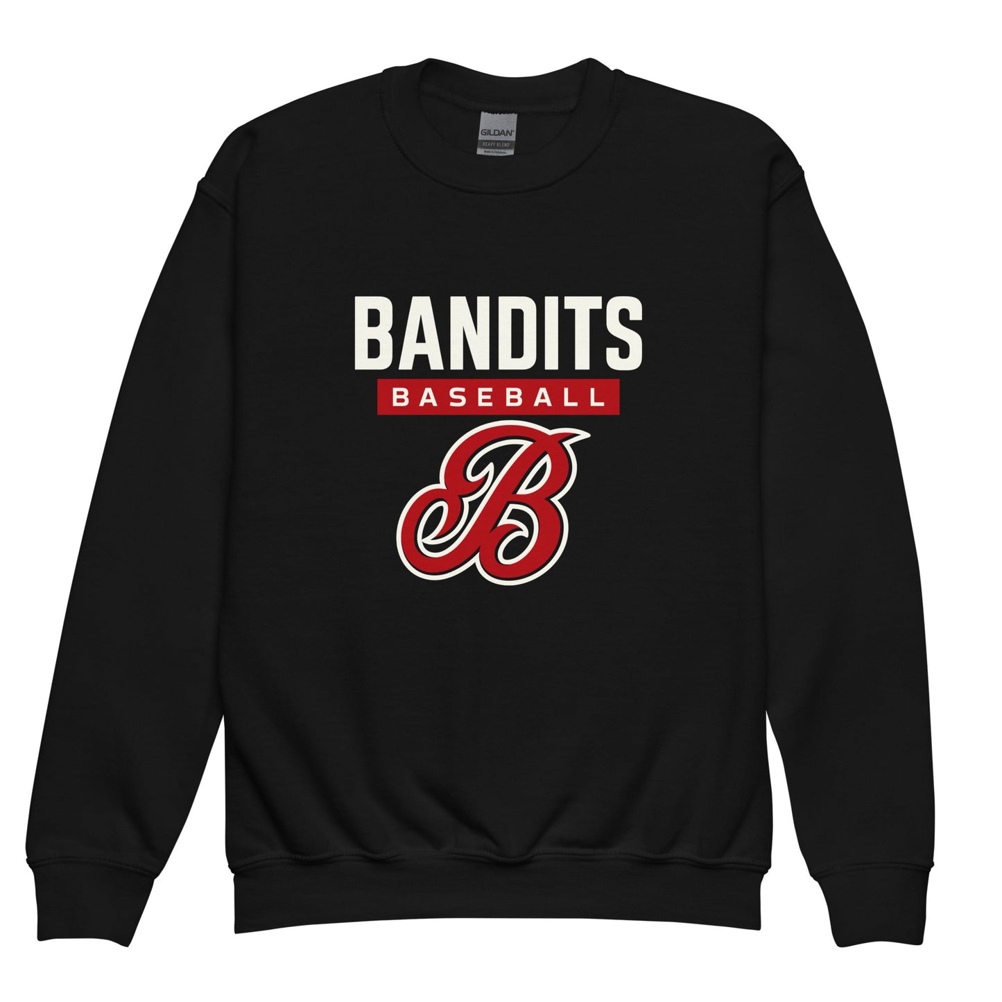 Classic | Youth Sweatshirt | Tri - City Baseball | Varsity Script Logo