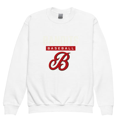 Classic | Youth Sweatshirt | Tri - City Baseball | Varsity Script Logo