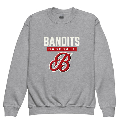 Classic | Youth Sweatshirt | Tri - City Baseball | Varsity Script Logo