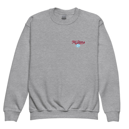 Classic | Youth Sweatshirt | Tri - Stars | 3 Stars Light Logo