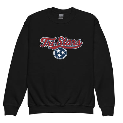 Classic | Youth Sweatshirt | Tri - Stars | 3 Stars Logo
