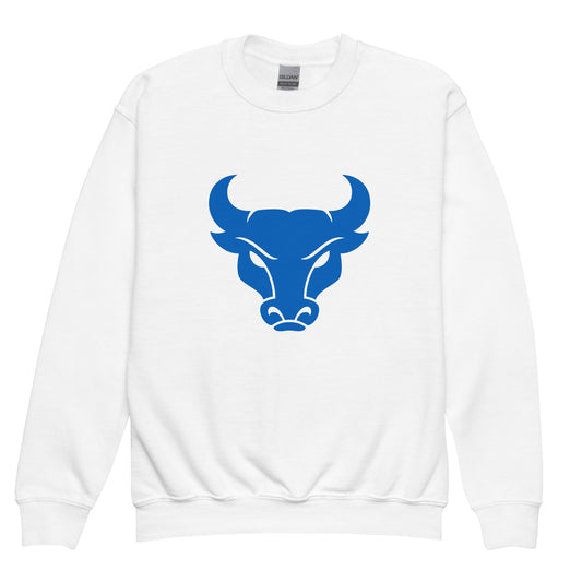 Classic | Youth Sweatshirt | UB Womens Club Basketball | Emblem Logo
