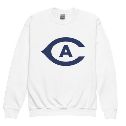 Classic | Youth Sweatshirt | UCD FF
