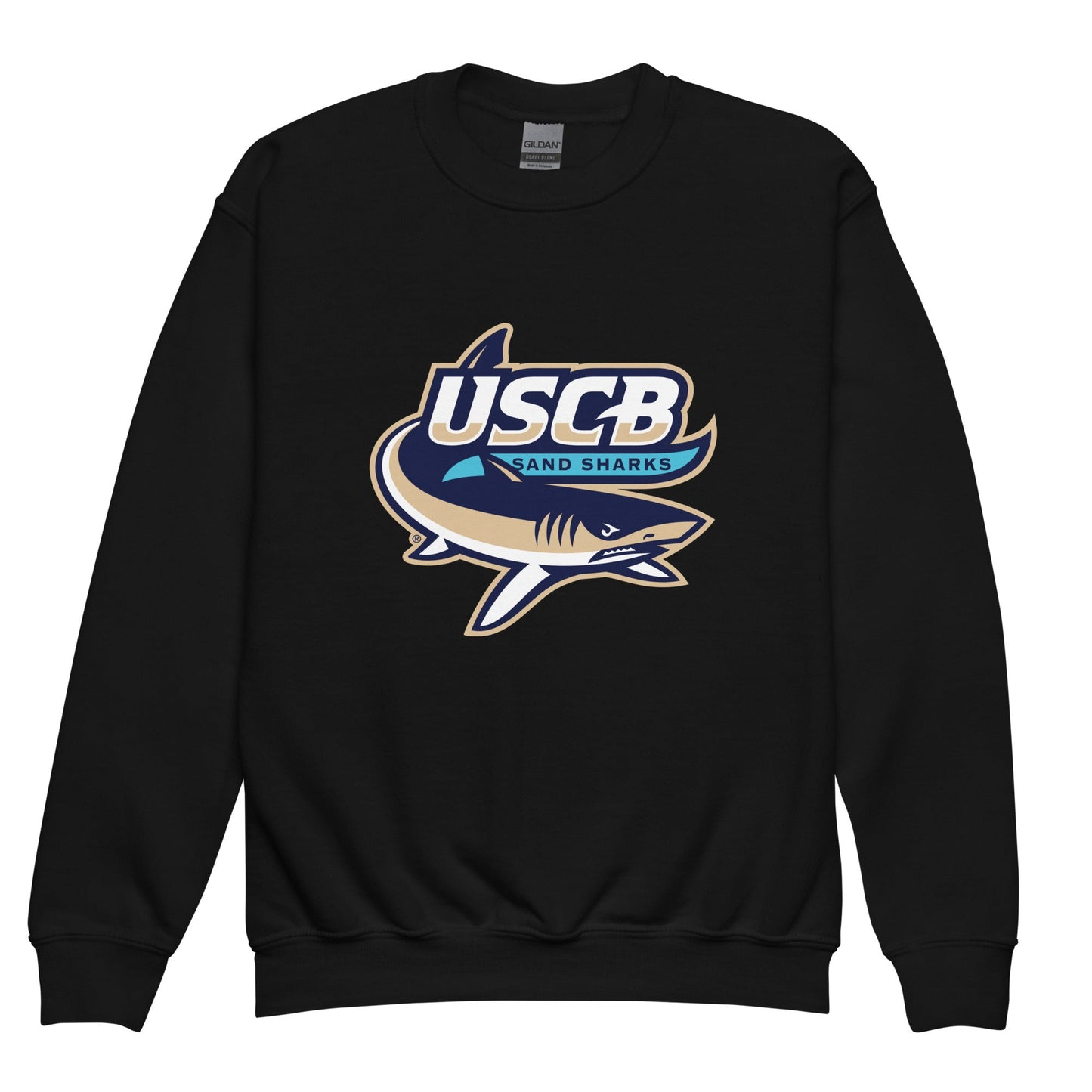Classic | Youth Sweatshirt | University South Carolina Beaufort Track & Field