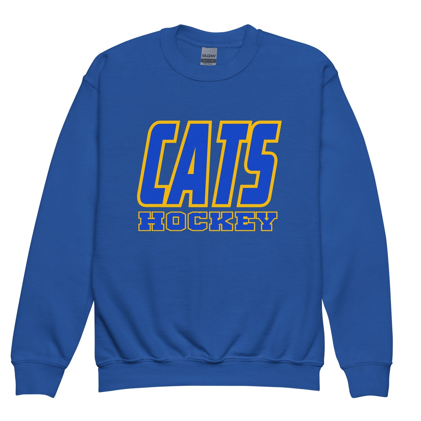 Classic | Youth Sweatshirt | UPJ Hockey | Atlethics Logo