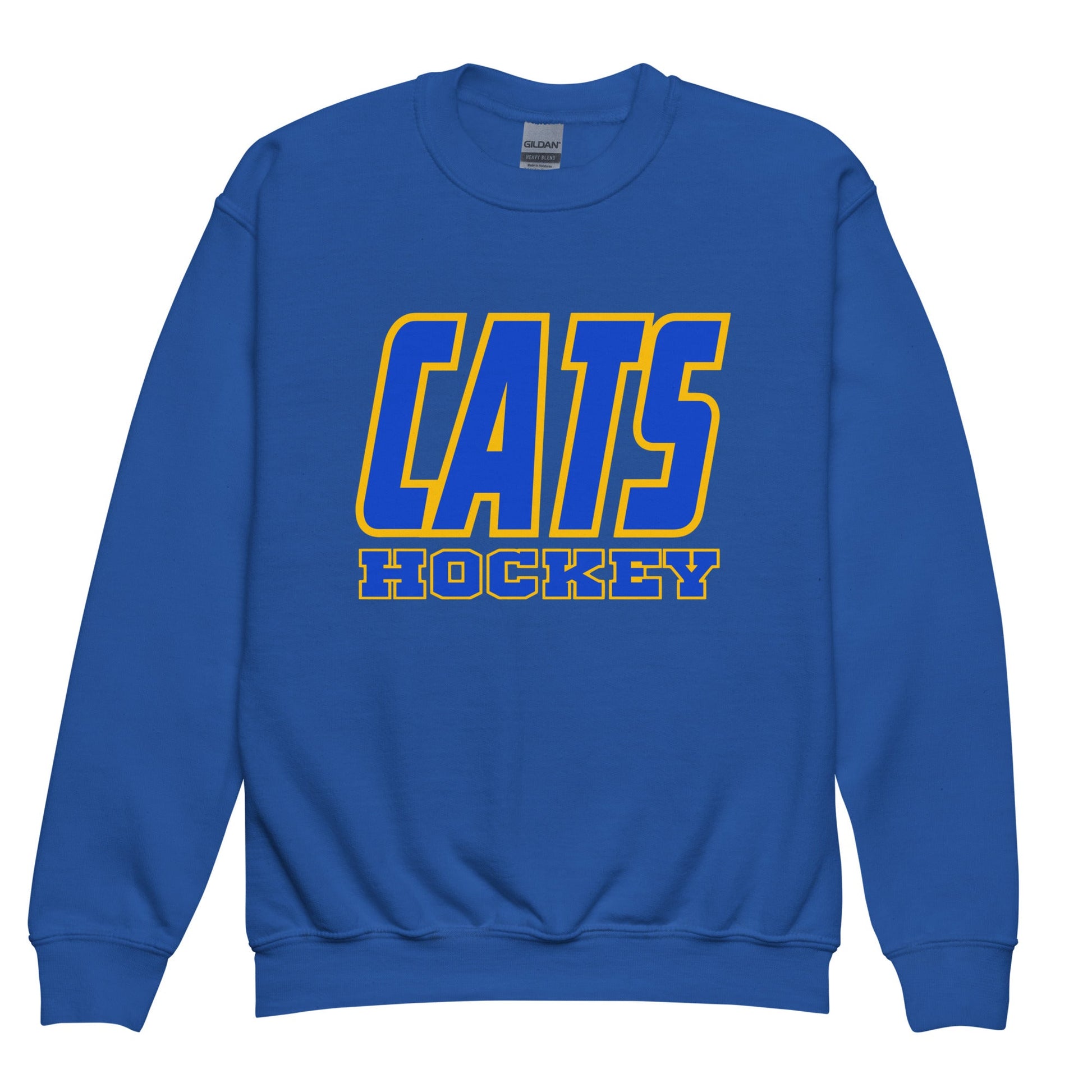Classic | Youth Sweatshirt | UPJ Hockey | Atlethics Logo